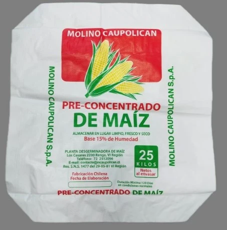 pp valve bag -1